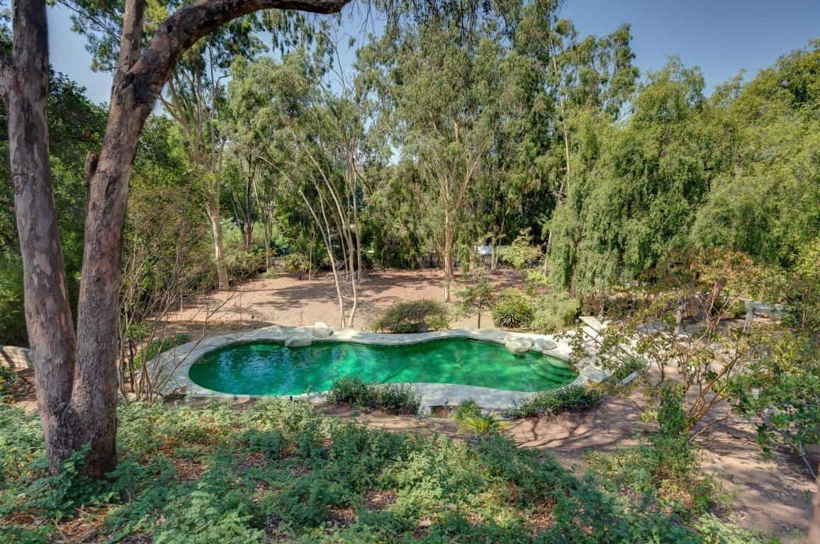 与乡村巨石就像游泳池可以找到隐藏在树木和周围的绿色植物的自然环境。